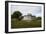 Old British Watch Tower in Barbuda, Antigua and Barbuda, West Indies, Caribbean, Central America-Michael Runkel-Framed Photographic Print