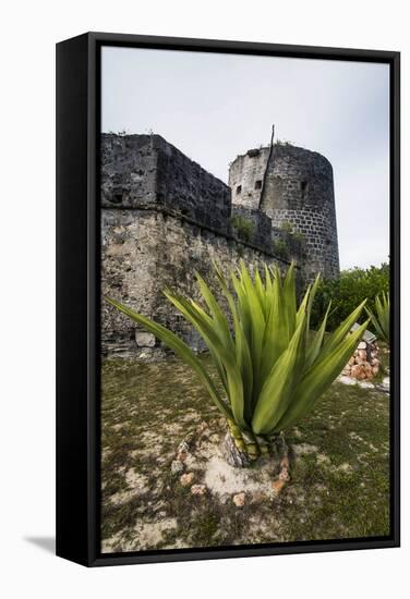 Old British Watch Tower in Barbuda, Antigua and Barbuda, West Indies, Caribbean, Central America-Michael Runkel-Framed Stretched Canvas