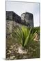 Old British Watch Tower in Barbuda, Antigua and Barbuda, West Indies, Caribbean, Central America-Michael Runkel-Mounted Photographic Print