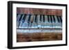 Old Broken Piano-Nathan Wright-Framed Photographic Print