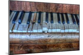 Old Broken Piano-Nathan Wright-Mounted Photographic Print