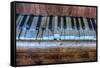 Old Broken Piano-Nathan Wright-Framed Stretched Canvas