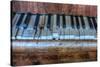 Old Broken Piano-Nathan Wright-Stretched Canvas