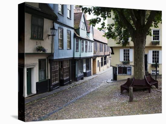 Old Buildings on Elm Hill, Norwich, Norfolk, England, United Kingdom, Europe-Mark Sunderland-Stretched Canvas