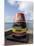 Old Buoy Used as Marker for the Furthest Point South in the United States, Key West, Florida, USA-R H Productions-Mounted Photographic Print