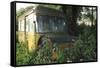 Old Bus in Woodland-Clive Nolan-Framed Stretched Canvas