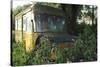 Old Bus in Woodland-Clive Nolan-Stretched Canvas