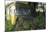 Old Bus in Woodland-Clive Nolan-Mounted Photographic Print