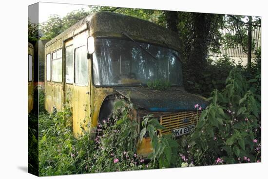 Old Bus in Woodland-Clive Nolan-Stretched Canvas