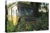 Old Bus in Woodland-Clive Nolan-Stretched Canvas