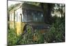 Old Bus in Woodland-Clive Nolan-Mounted Photographic Print