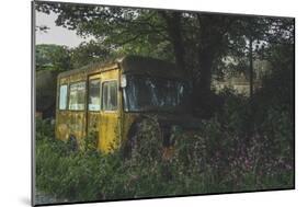 Old Bus in Woodland-Clive Nolan-Mounted Photographic Print