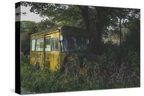 Old Bus in Woodland-Clive Nolan-Stretched Canvas