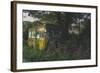 Old Bus in Woodland-Clive Nolan-Framed Photographic Print