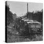 Old Busses Used for Housing Migrant Farm Workers-null-Stretched Canvas