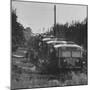 Old Busses Used for Housing Migrant Farm Workers-null-Mounted Photographic Print