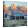 Old Cabin at Mormon Row, Wyoming-Vincent James-Stretched Canvas