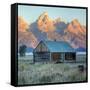 Old Cabin at Mormon Row, Wyoming-Vincent James-Framed Stretched Canvas