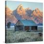 Old Cabin at Mormon Row, Wyoming-Vincent James-Stretched Canvas
