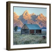 Old Cabin at Mormon Row, Wyoming-Vincent James-Framed Photographic Print