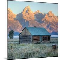 Old Cabin at Mormon Row, Wyoming-Vincent James-Mounted Photographic Print