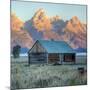 Old Cabin at Mormon Row, Wyoming-Vincent James-Mounted Photographic Print