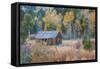 Old Cabin in Autumn Woods Hope Valley California-Vincent James-Framed Stretched Canvas