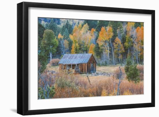 Old Cabin in Autumn Woods Hope Valley California-Vincent James-Framed Photographic Print