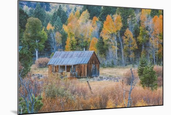 Old Cabin in Autumn Woods Hope Valley California-Vincent James-Mounted Photographic Print