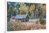 Old Cabin in Autumn Woods Hope Valley California-Vincent James-Framed Photographic Print