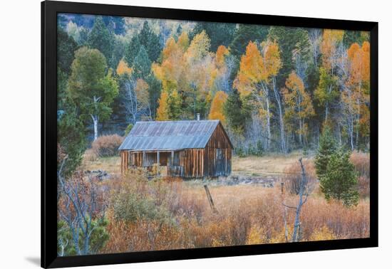 Old Cabin in Autumn Woods Hope Valley California-Vincent James-Framed Photographic Print