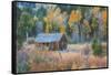 Old Cabin in Autumn Woods Hope Valley California-Vincent James-Framed Stretched Canvas