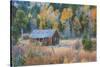 Old Cabin in Autumn Woods Hope Valley California-Vincent James-Stretched Canvas