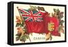 Old Canadian Flag-null-Framed Stretched Canvas