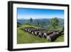 Old cannons in front of the Citadelle Laferriere, UNESCO World Heritage Site, Cap Haitien, Haiti-Michael Runkel-Framed Photographic Print