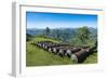 Old cannons in front of the Citadelle Laferriere, UNESCO World Heritage Site, Cap Haitien, Haiti-Michael Runkel-Framed Photographic Print