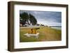 Old cannons on the shore of Stanley, capital of the Falkland Islands, South America-Michael Runkel-Framed Photographic Print