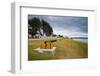 Old cannons on the shore of Stanley, capital of the Falkland Islands, South America-Michael Runkel-Framed Photographic Print