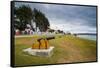 Old cannons on the shore of Stanley, capital of the Falkland Islands, South America-Michael Runkel-Framed Stretched Canvas