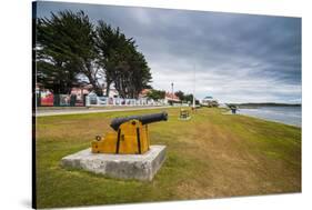 Old cannons on the shore of Stanley, capital of the Falkland Islands, South America-Michael Runkel-Stretched Canvas