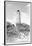 Old Cape Henry Lighthouse-Philip Gendreau-Framed Premium Photographic Print
