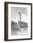 Old Cape Henry Lighthouse-Philip Gendreau-Framed Photographic Print