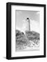 Old Cape Henry Lighthouse-Philip Gendreau-Framed Photographic Print