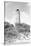 Old Cape Henry Lighthouse-Philip Gendreau-Stretched Canvas