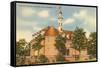 Old Capitol Building, Williamsburg, Virginia-null-Framed Stretched Canvas