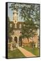 Old Capitol, Williamsburg, Virginia-null-Framed Stretched Canvas