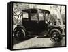 Old Car Parked under Tree Line-null-Framed Stretched Canvas