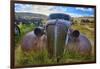 Old Car Rusting Away in a Ghost Town, Bodie, California-George Oze-Framed Photographic Print