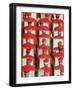 Old Cardinals are Seen During the Concistory-null-Framed Photographic Print