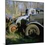 Old Cars in a Junk Yard-Walker Evans-Mounted Photographic Print